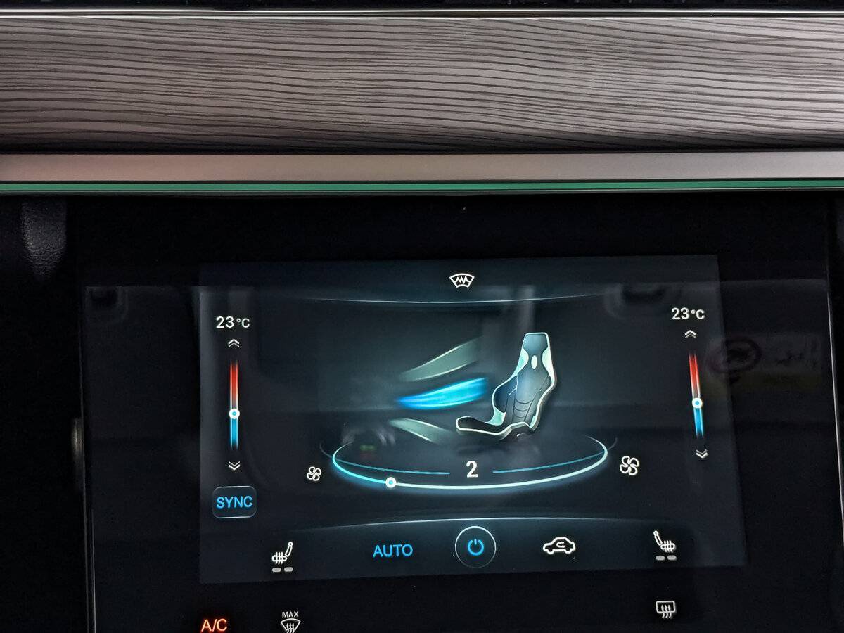 Chery Tiggo 8 Pro, 2021 Фото №23